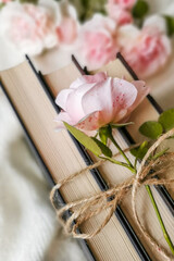 Roses and old books. Retro photo. Vintage photo