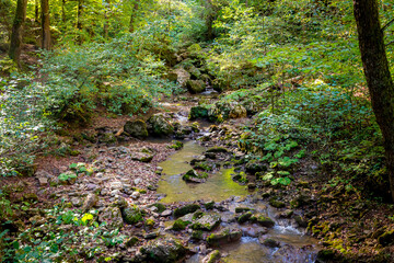 Small streams that are the source of the river.A small waterfall with moss and ferns is located...