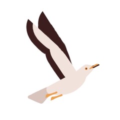 Beautiful flying seagull vector flat illustration. Adorable nautical marine bird, arctic inhabitant isolated on white background. Flight of beautiful seabird. Cute polar fauna animal