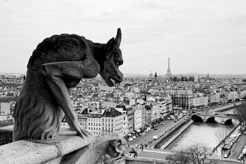 Notre Dame gargoyle in black and white