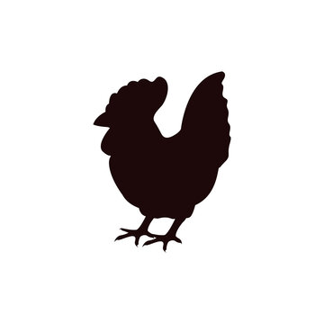 Chicken icon design template vector isolated illustration