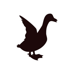 Duck icon design template vector isolated illustration