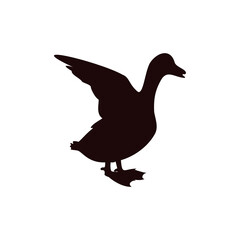 Duck icon design template vector isolated illustration