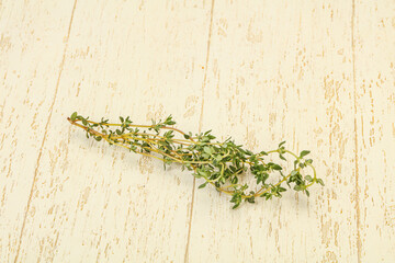Aroma Fresh green thyme branch