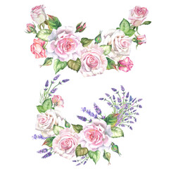 set of roses illustrations