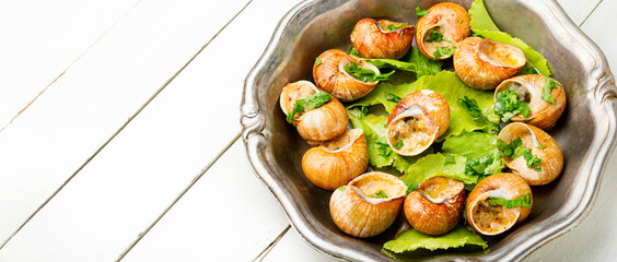 Bourgogne escargot snails