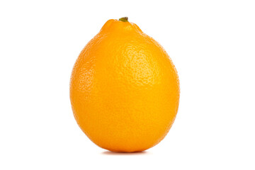 Orange lemon fruit isolated on the white background, macro close up
