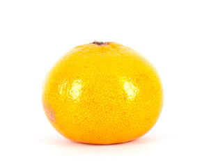 One orange on white background