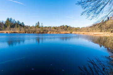 Light mood in the morning mist at sunrise in the forest