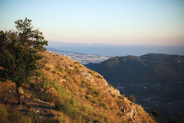 Summer landscape with the town on the horizon