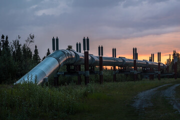 Trans-Alaska pipe line in summer in sunset time