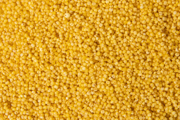 Closeup of yellow raw millet