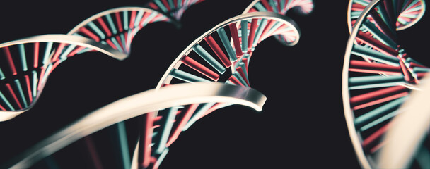 Fototapeta na wymiar DNA Doppel Helix Spirale: Konzept Evolution, Klonen oder Genmanipulation