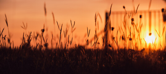 Peaceful nature evening scenery, autumn background. Summer sunset countryside evening spring