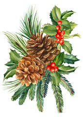 Composition of pine cones, holly, spruce branches, watercolor drawing, postcard