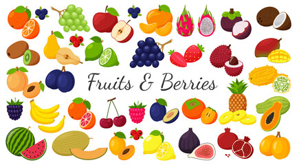 A large set of tropical, exotic, citrus fruits. Fruit and berry icons. Whole fruit, half cut and slices. Huge collection.Flat. Color vector illustration. Design elements isolated on white.