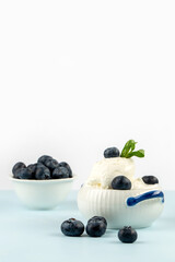 Ice-cream and blueberry in studio