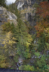 Spaziergang Wolfsklamm bei Stans