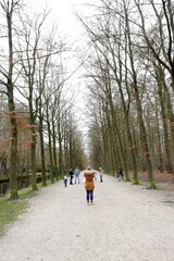 Fototapeta premium familiy picture