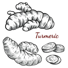 Vector sketch illustration of turmeric root set drawing isolated on white. Engraved style. Ink. natural business. Vintage, retro object for menu, label, recipe, product packaging