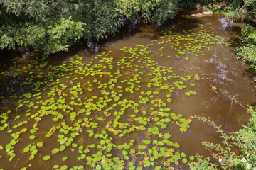 river Jagst in Hohenlohe