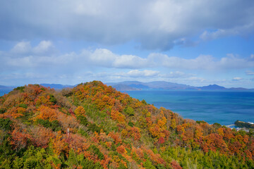 晩秋の山肌と瀬戸内海　香川県さぬき市から小豆島方面を撮影