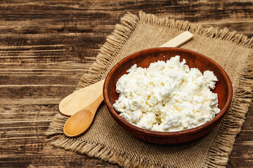 Organic homemade cottage cheese or curd in bowl