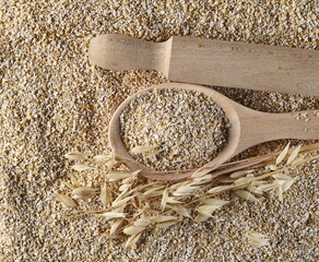 Oat bran and ears on stalk with wooden spoon and rolling pin, roller isolated on white background