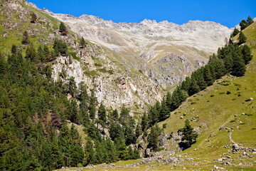 Mountain landscape at noon. Beautiful mountain landscape with trees at the foot of the ridge. The concept of the development of nature and sustainable development. Place of text
