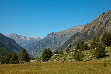 Mountain landscape at noon. Beautiful mountain landscape with trees at the foot of the ridge. The concept of the development of nature and sustainable development. Place of text