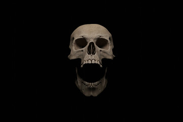 Human skull with wide open mouth on black background. 3D rendering.
