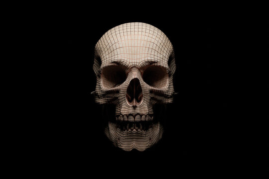 Human skull with metallic wireframe structure on surface against black background. 3D rendering.