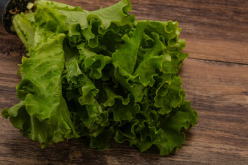 Green lettuce salad heap leaves