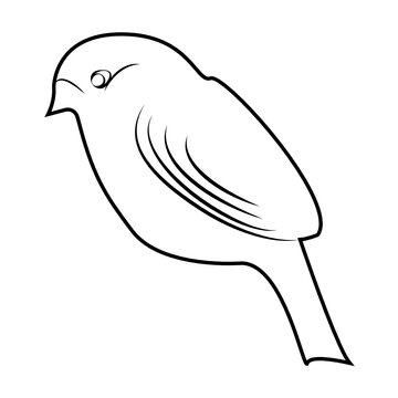 recommend clip art: sparrow isolated outline on white background