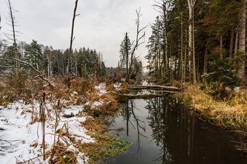 Snow-covered winter landscape in the Pfrunger Ried near Ostrach