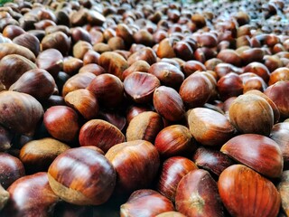 Chestnut. Uncooked raw chestnuts. Cooking chestnuts.
