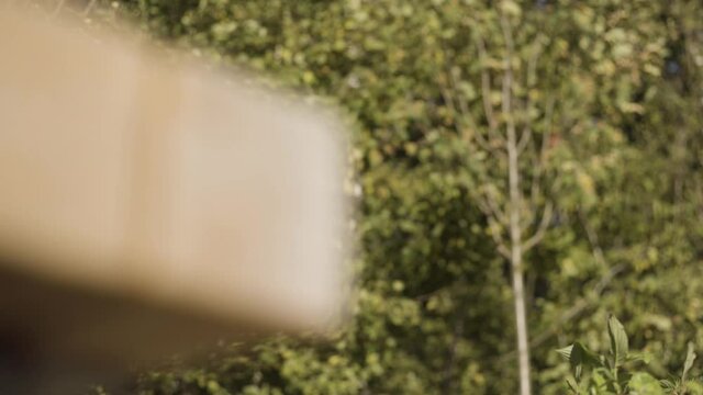 Close up of wooden beam edge on the background of green trees. Action. Details of a wooden balk with focus moving from the timer to the forest.