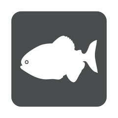 Icono silueta pez piraña en cuadrado color gris