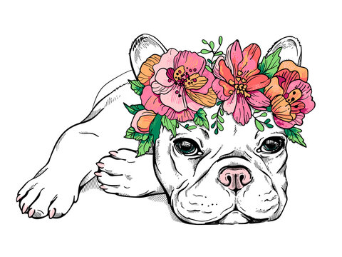 Cute french bulldog puppy in a flower wreath. Spring portrait of a dog. Stylish image for printing on any surface