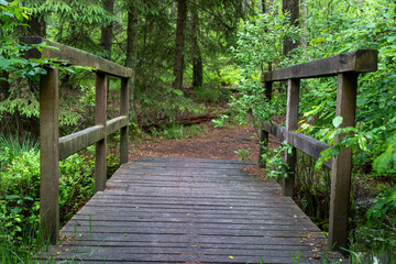 wooden bridge in a forest in the nature preservation area of the lueneburger heide