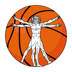 basketball and Stylized sketch of the Vitruvian man, vector illustration on white background