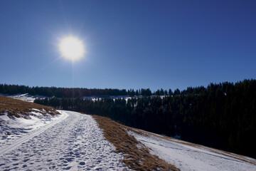 shining sun and blue sky while hiking