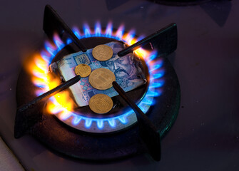 Cash bills burn on a gas burner