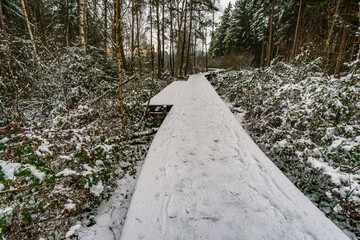 Snow-covered winter landscape in the Pfrunger Ried near Ostrach