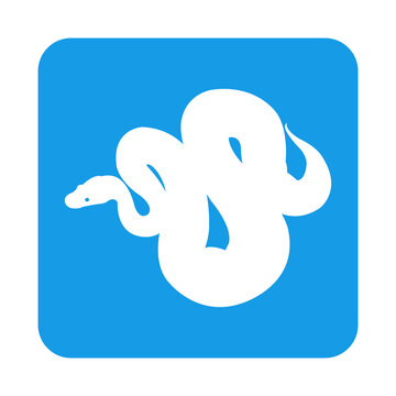 Icono silueta de serpiente pit&oacute;n en cuadrado color azul