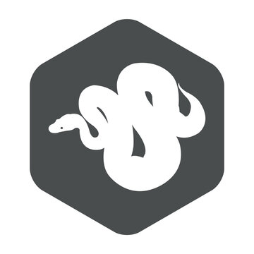 Icono silueta de serpiente pit&oacute;n en hex&aacute;gono color gris