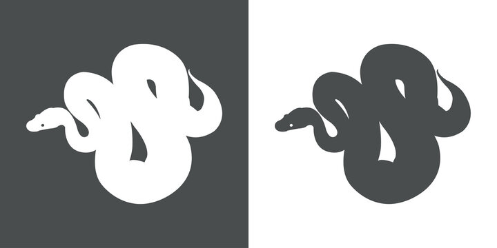 Icono silueta de serpiente pit&oacute;n en fondo gris y fondo blanco