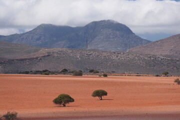 Obraz premium Die Cape Route 62 verbindet Kapstadt mit Port Elizabeth auf die gleiche Weise wie die Route 66 zwischen Chicago und Los Angeles. Route 62 gehört zu den schönsten Reiserouten durch Südafrika.