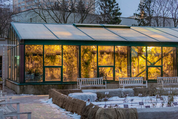 Fototapeta na wymiar Glass greenhouse with tropical and exotic plants in the Pharmaceutical Garden. Moscow, Russia