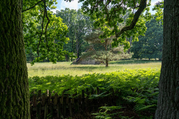 Characteristic stable for German moorland sheep with a straw roof  in the natural preserve Lueneburger Heide